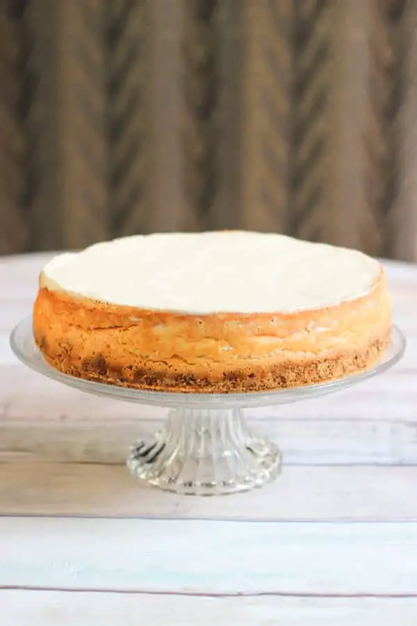 cheesecake américain sur un présentoir à gâteau