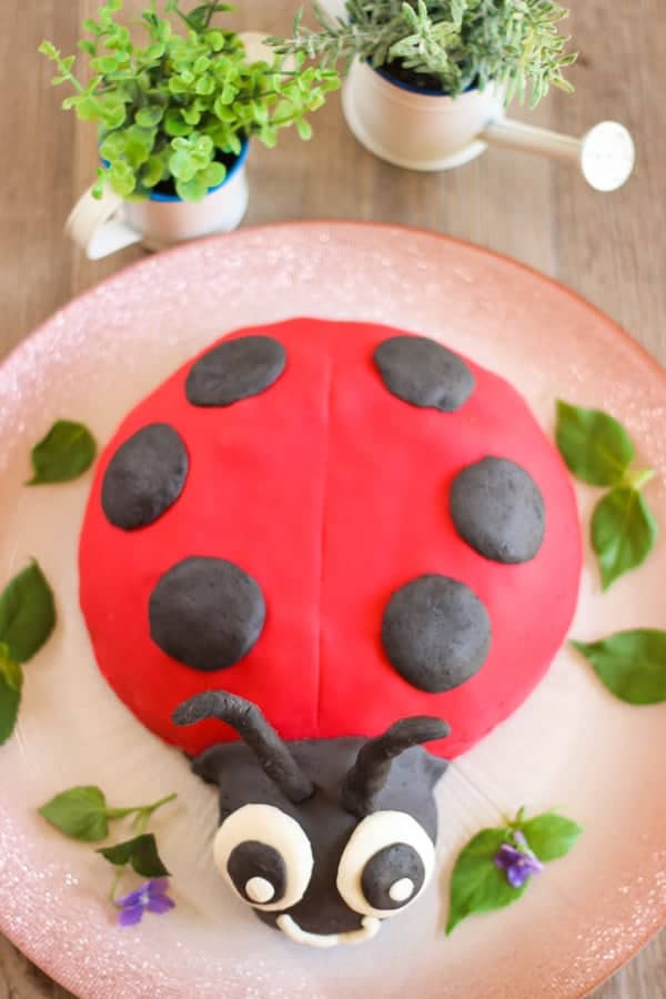 Gateau Coccinelle Elle Mijote Quelque Chose