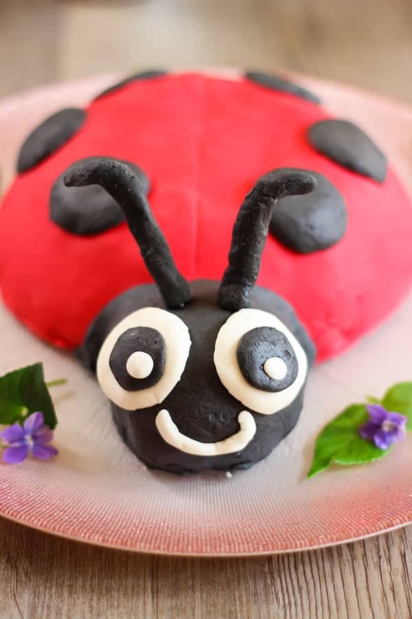 Gateau Coccinelle Elle Mijote Quelque Chose